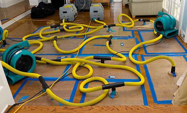 Professional Burst Pipe Water Damage technician working in Bellevue, PA